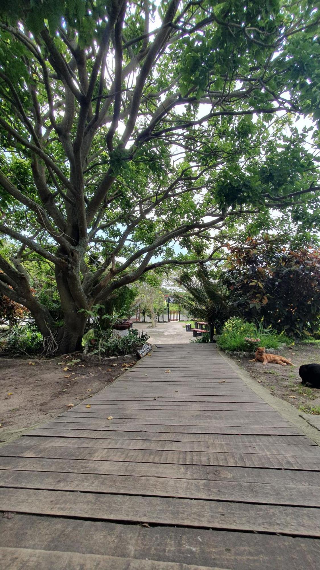 Sunset Bed And Breakfast Coffee Bay Luaran gambar